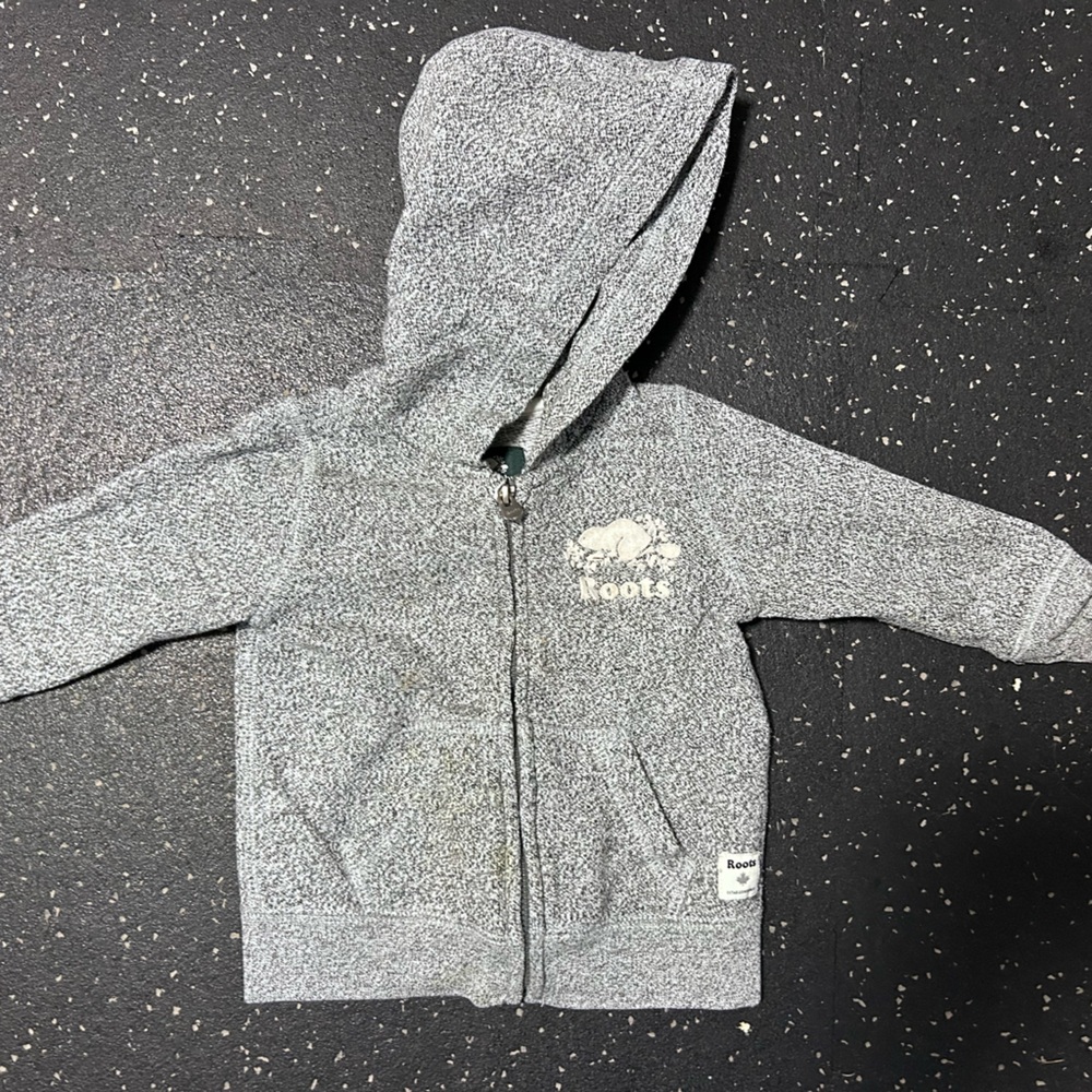 Roots Gray Kids Hoodie